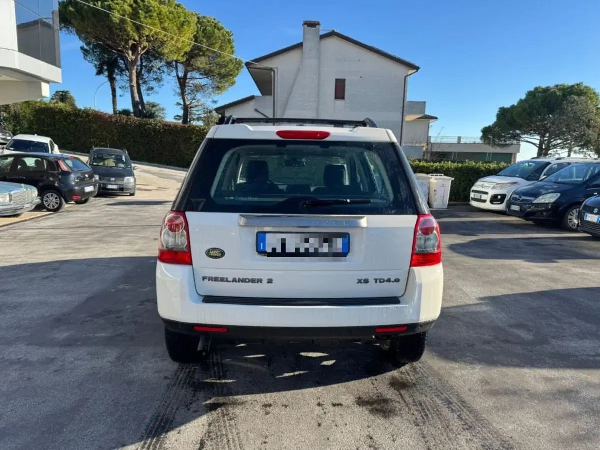 Land Rover Freelander usata a Macerata (6)