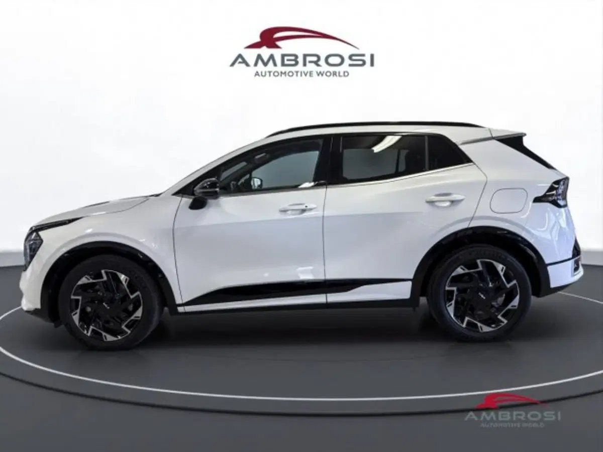 Kia Sportage usata a Perugia (6)
