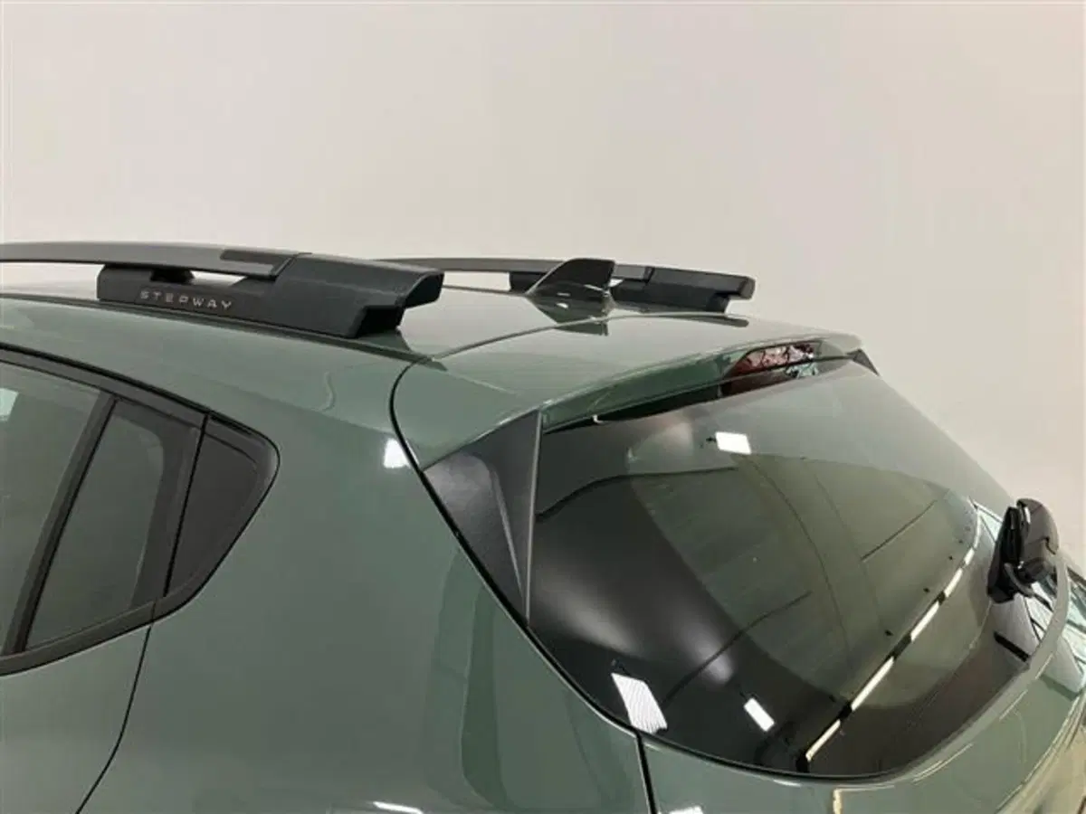 Dacia Sandero Stepway usata a Como (17)