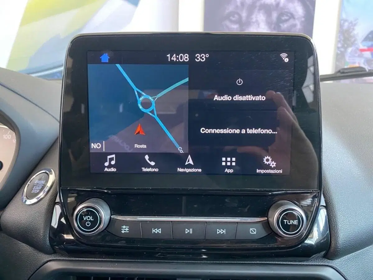 Ford EcoSport usata a Torino (10)