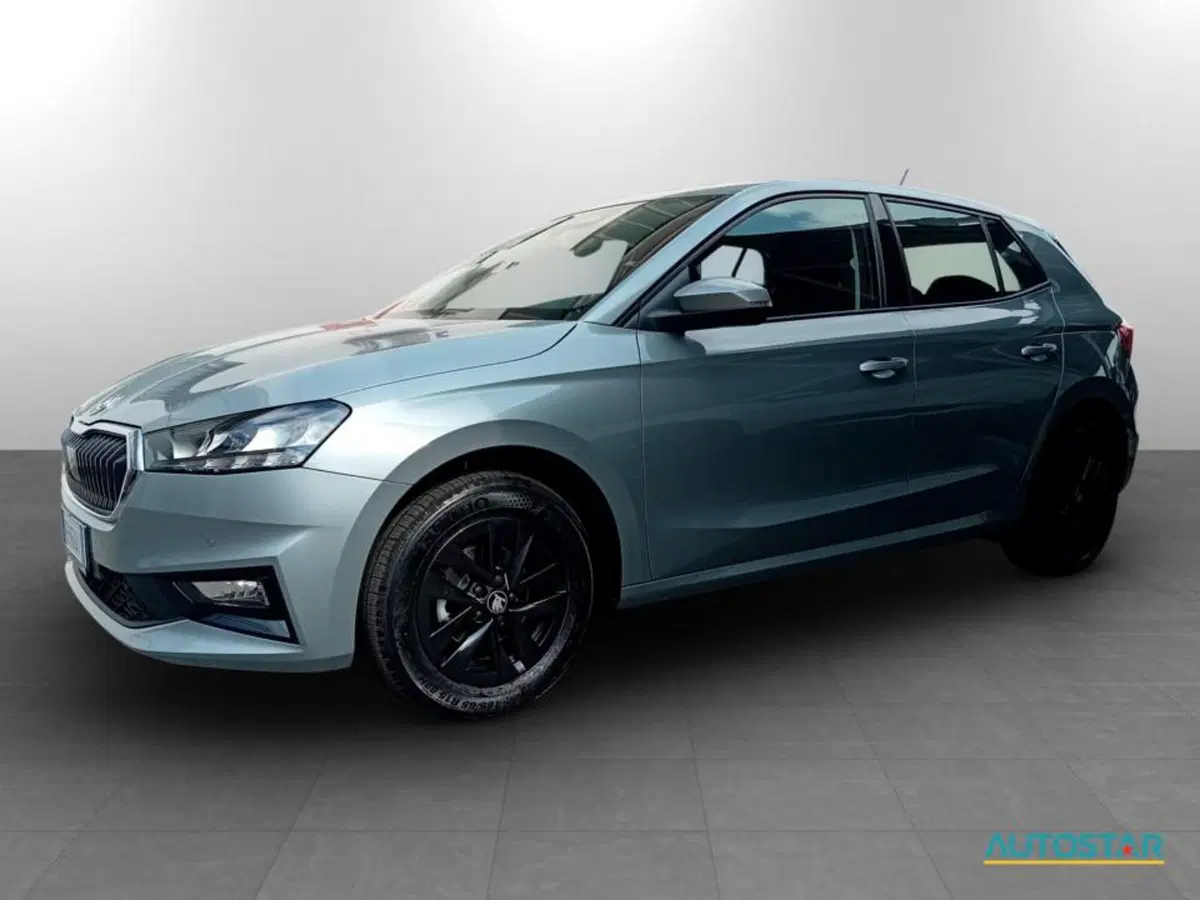 Skoda Fabia nuova a Piacenza