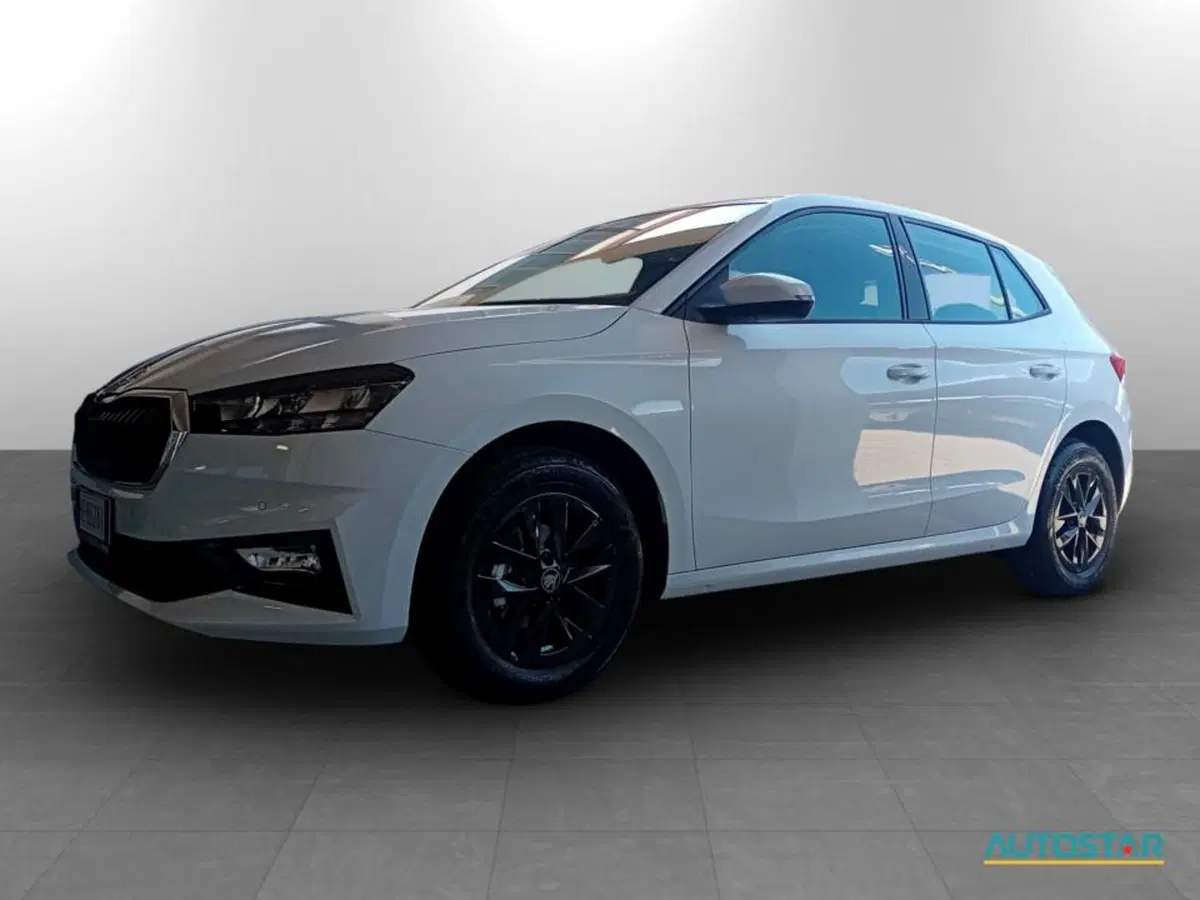 Skoda Fabia nuova a Piacenza