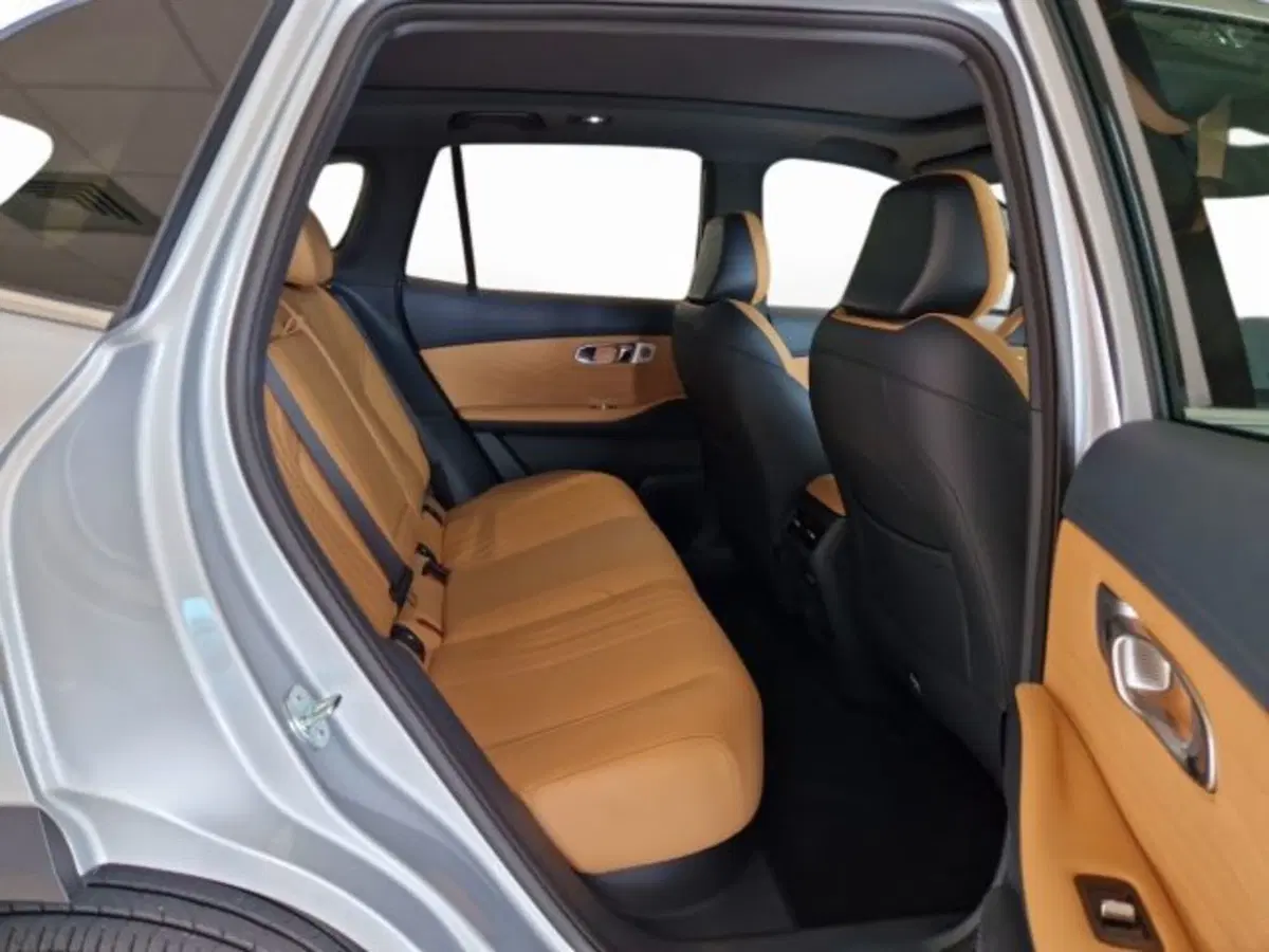 Geely Starray usata a Modena (12)