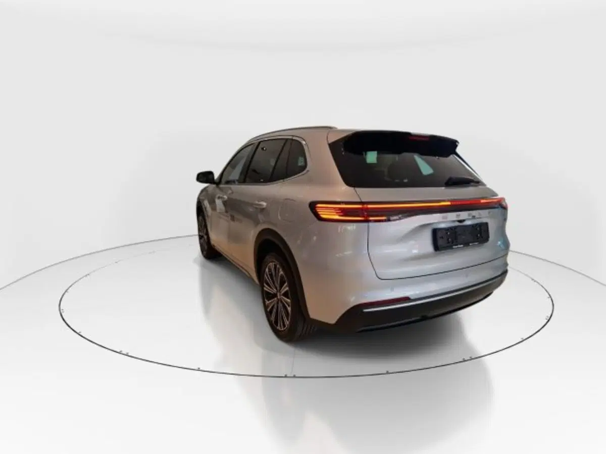 Geely Starray usata a Modena (6)