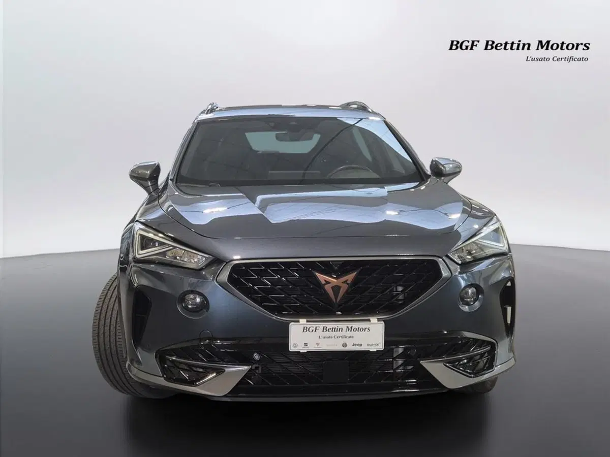 Cupra Formentor usata a Padova (7)