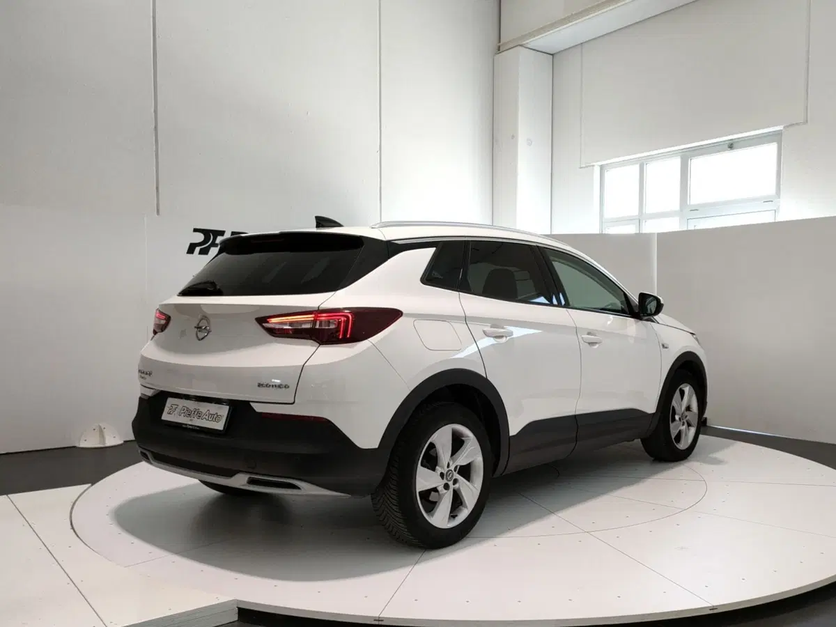 Opel Grandland X usata a L'Aquila (4)