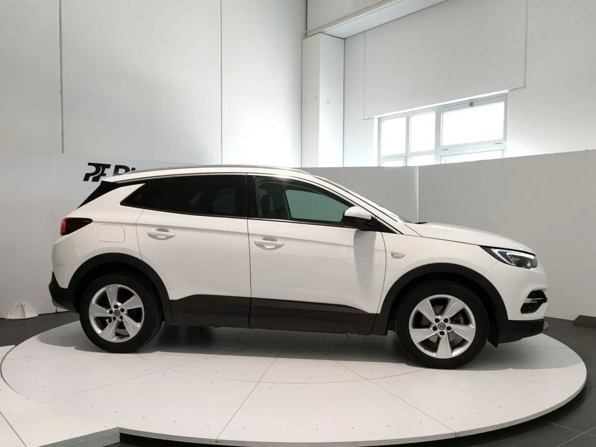 Opel Grandland X usata a L'Aquila (5)