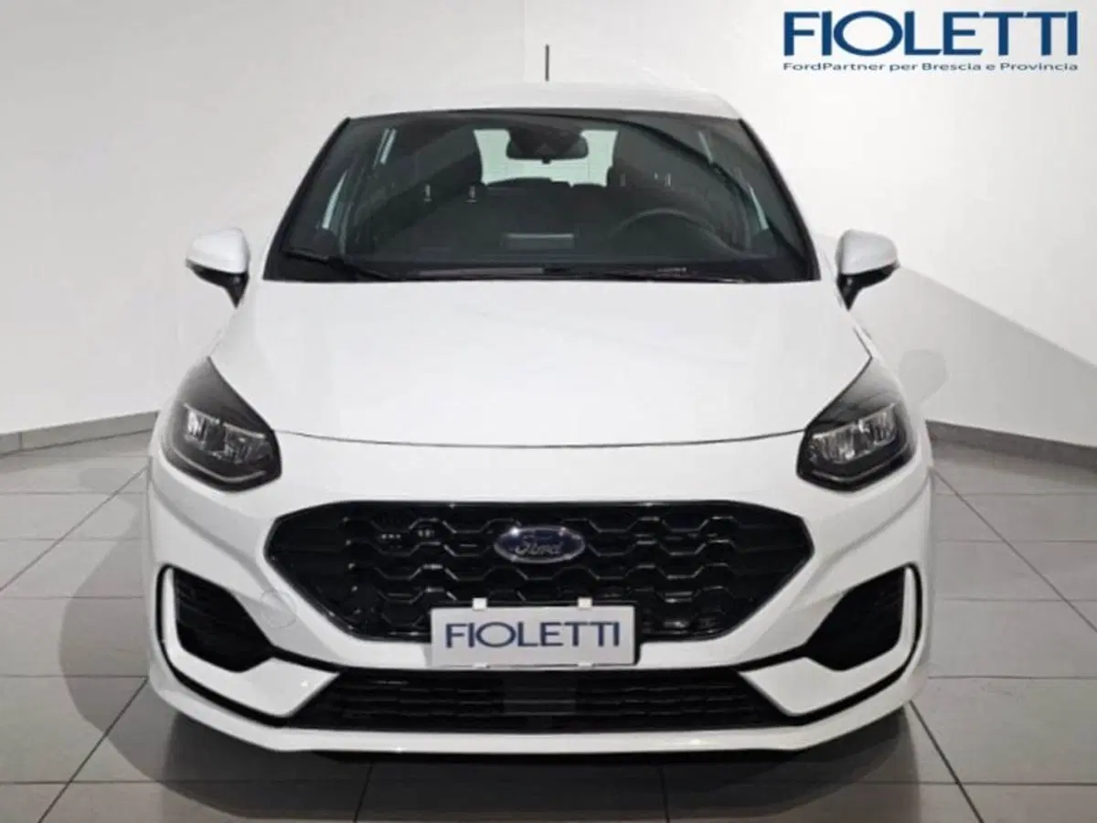 Ford Fiesta usata a Brescia (3)