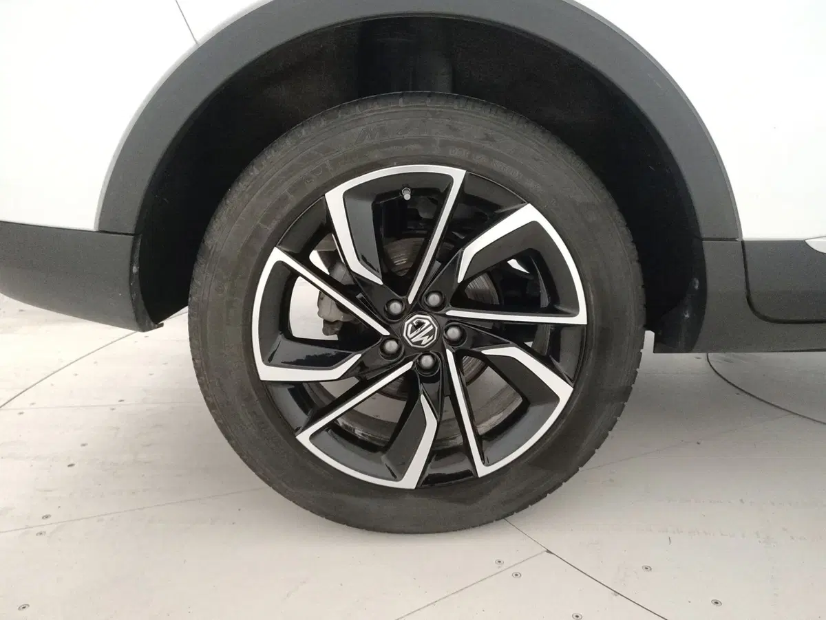 Mg ZS usata  (14)