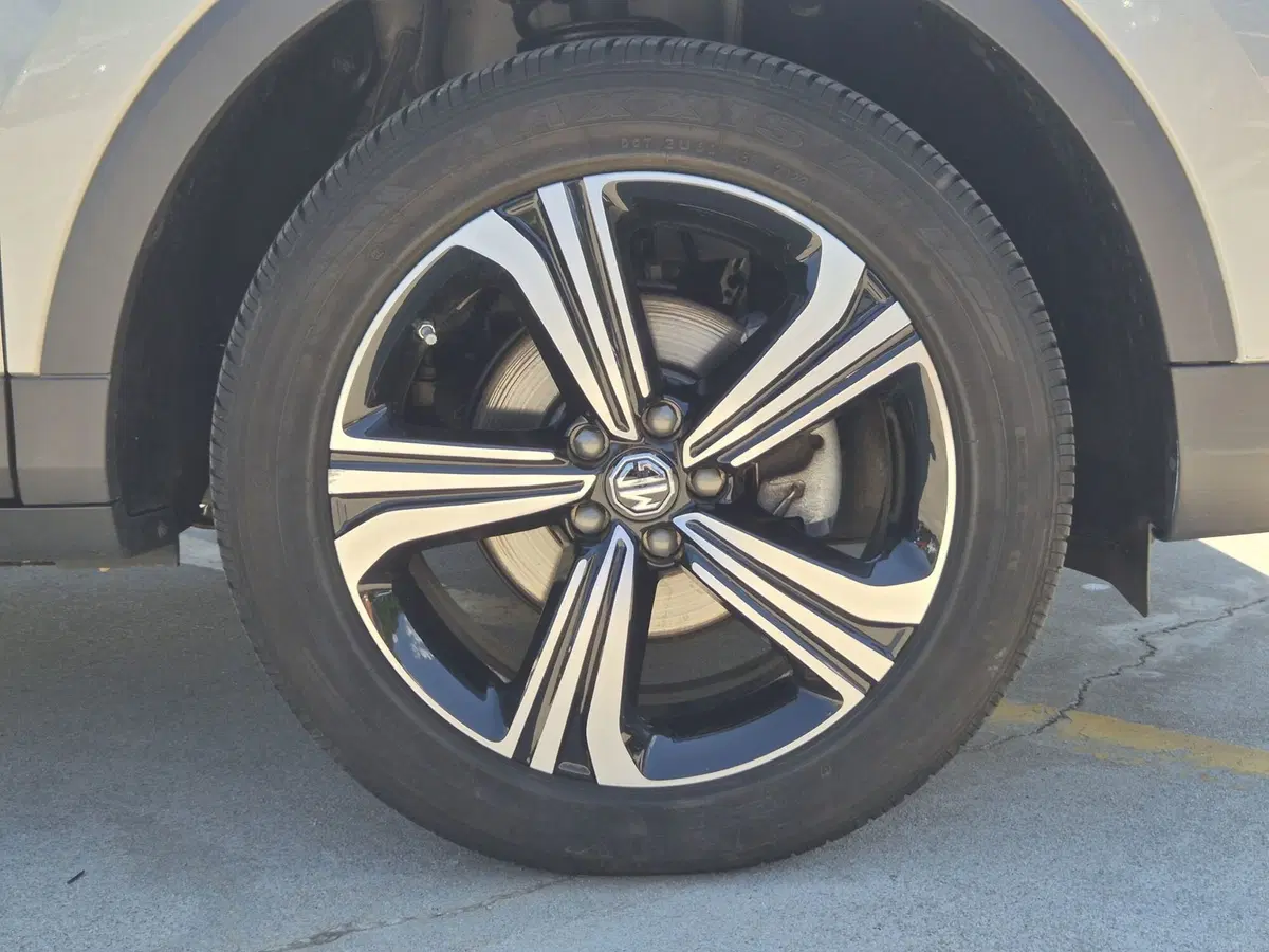 Mg ZS usata  (12)