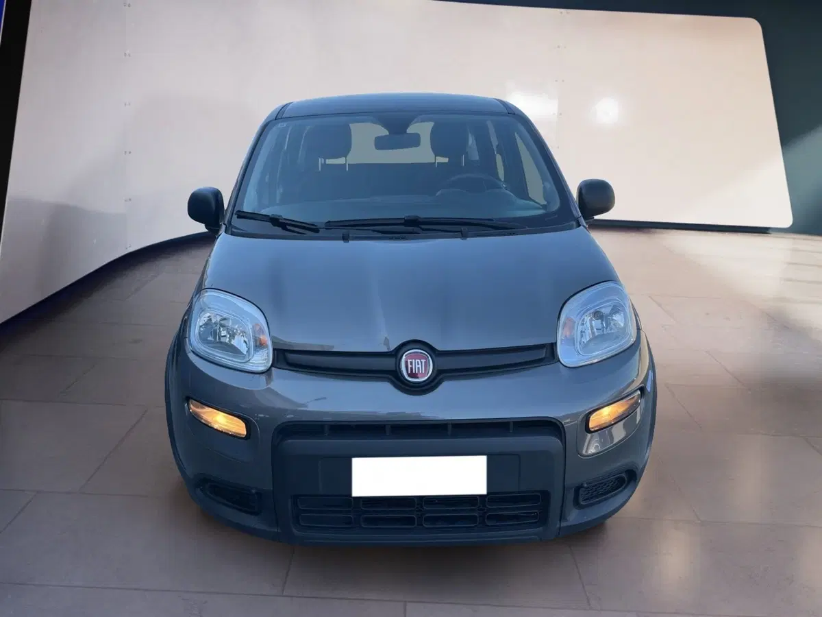 Fiat Panda usata a Torino