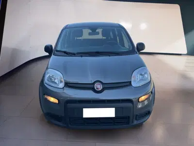 Fiat Panda 1.2 EasyPower del 2024 usata a Torino