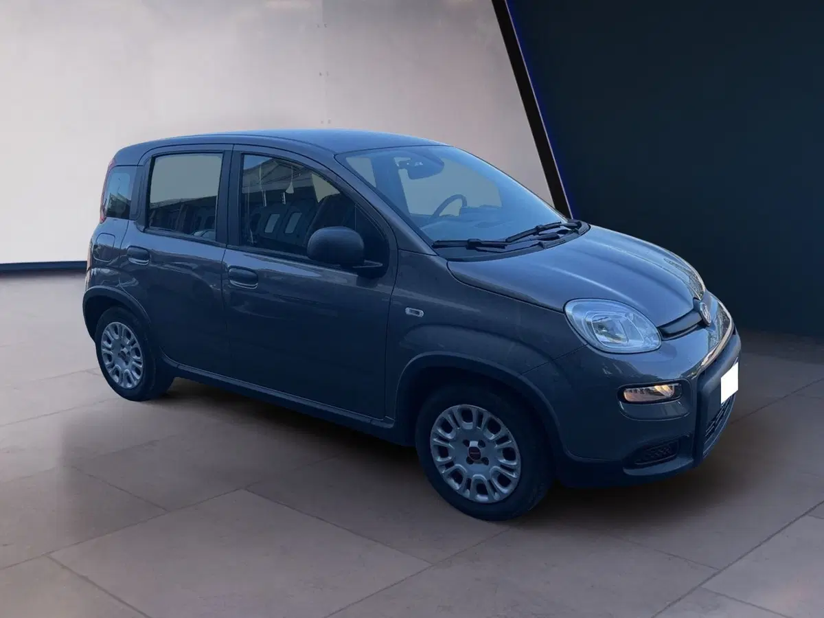 Fiat Panda usata a Torino (2)