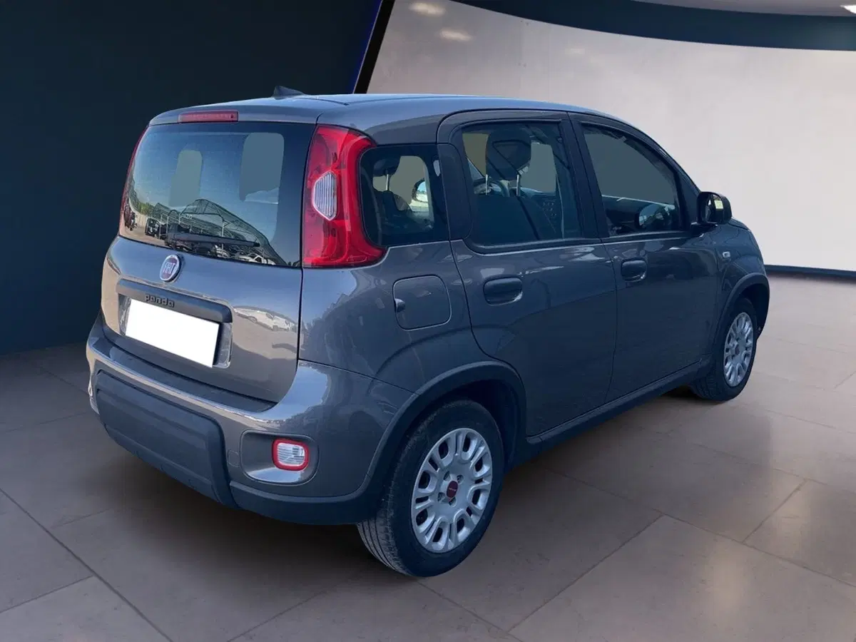 Fiat Panda usata a Torino (3)
