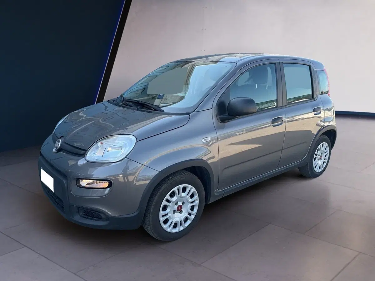 Fiat Panda usata a Torino (6)