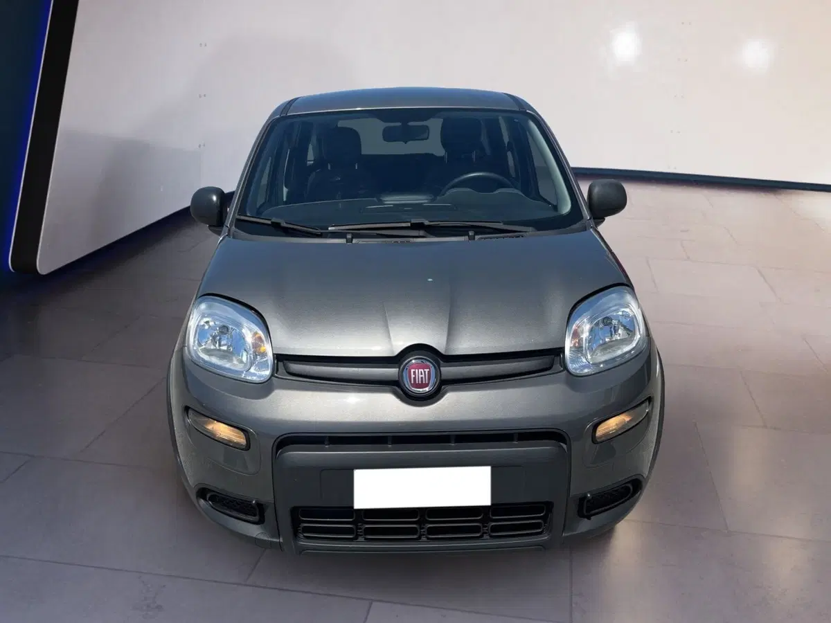 Fiat Panda Cross usata a Torino