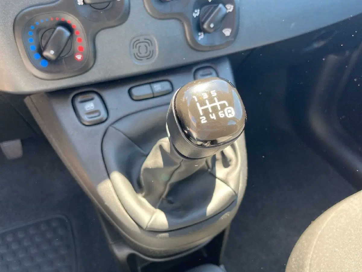Fiat Panda Cross usata a Torino (12)