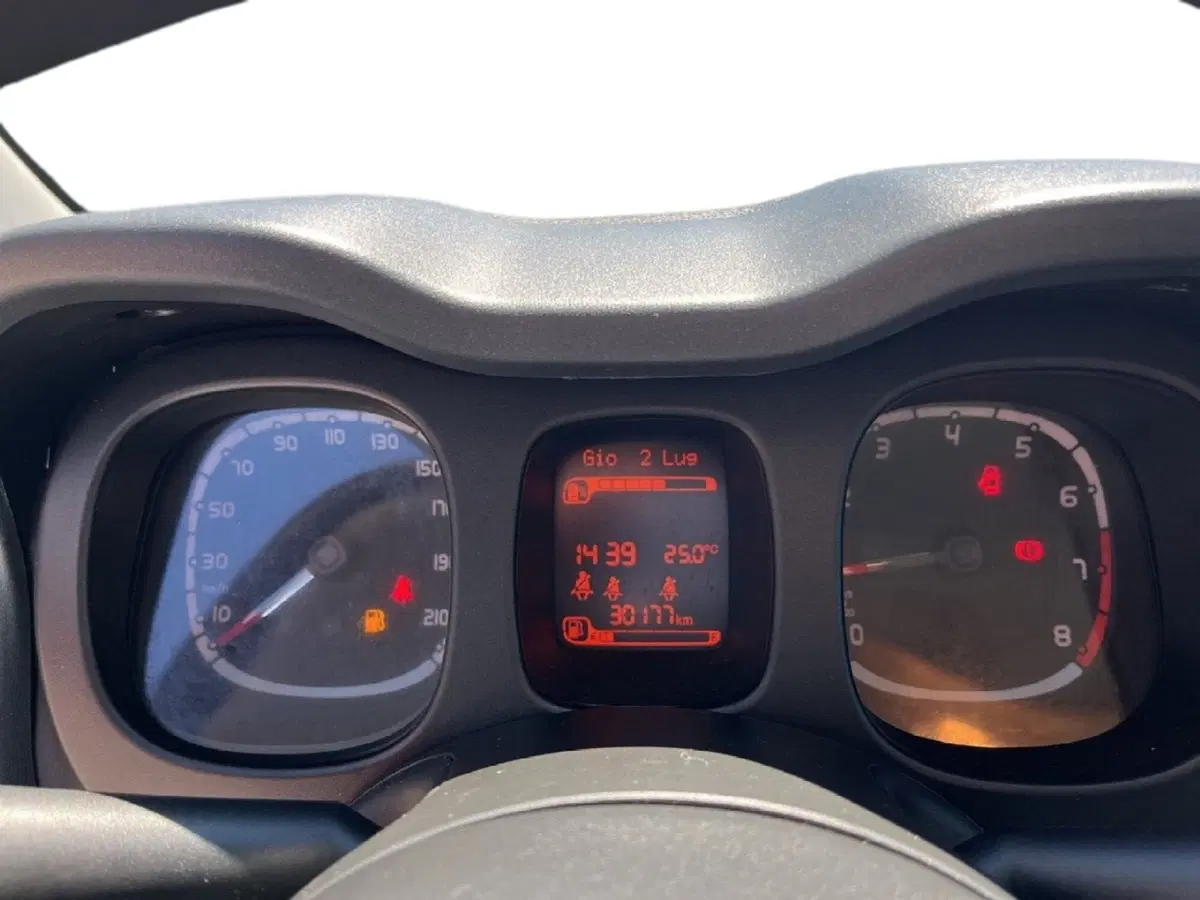 Fiat Panda Cross usata a Torino (13)