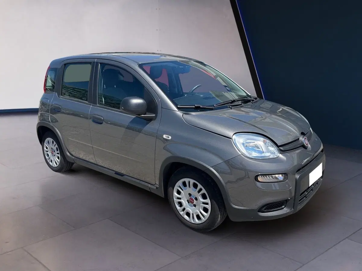 Fiat Panda Cross usata a Torino (2)
