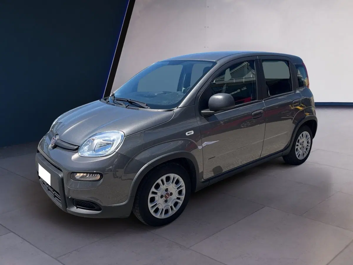 Fiat Panda Cross usata a Torino (3)