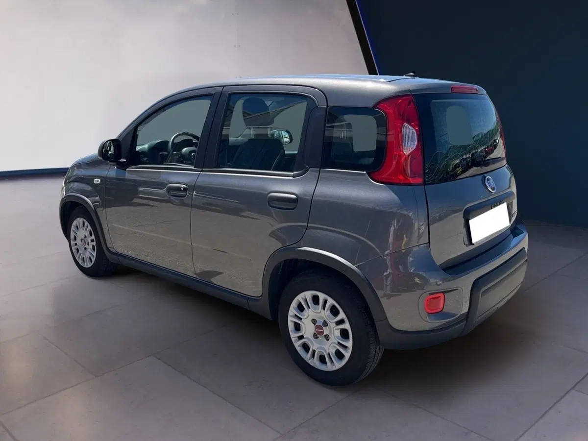 Fiat Panda Cross usata a Torino (4)