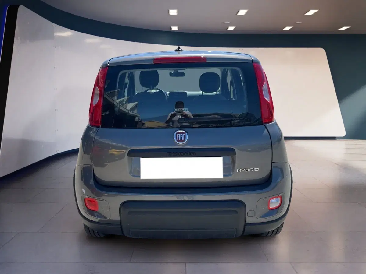 Fiat Panda Cross usata a Torino (5)