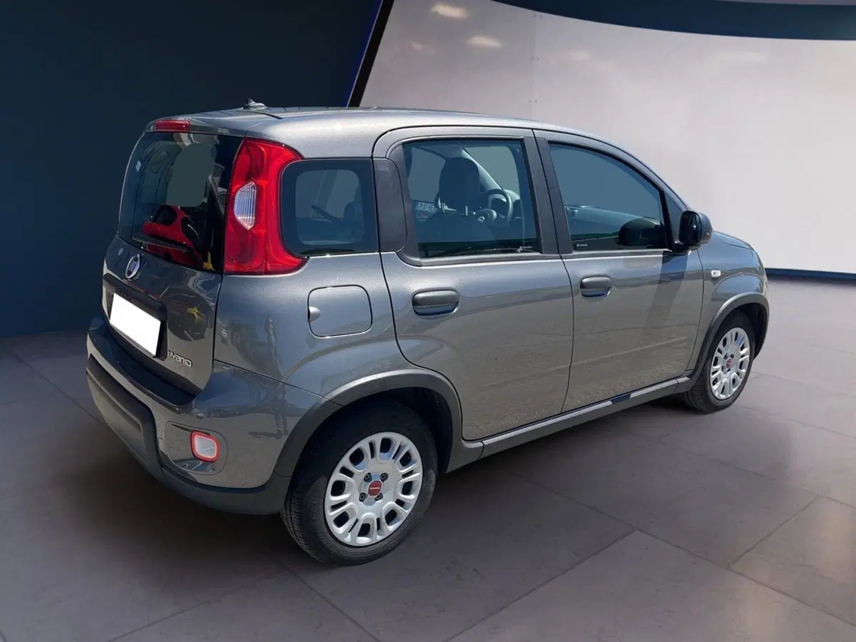 Fiat Panda Cross usata a Torino (6)