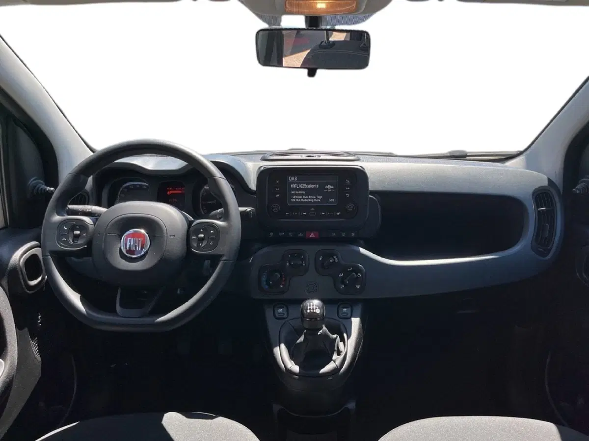 Fiat Panda Cross usata a Torino (9)