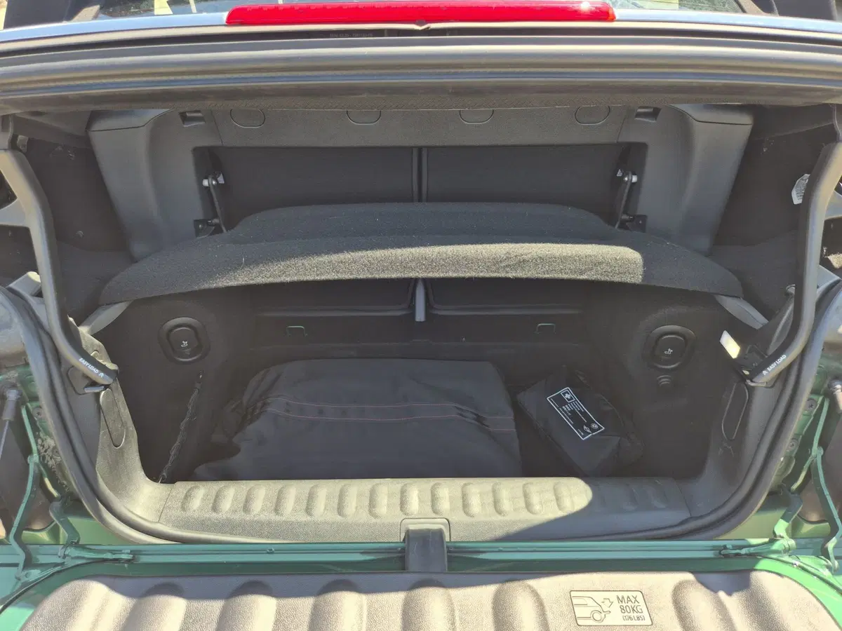 MINI Mini Cabrio usata  (11)