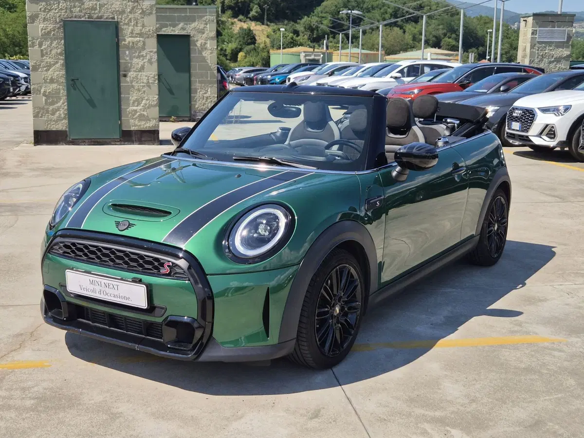 MINI Mini Cabrio usata  (17)