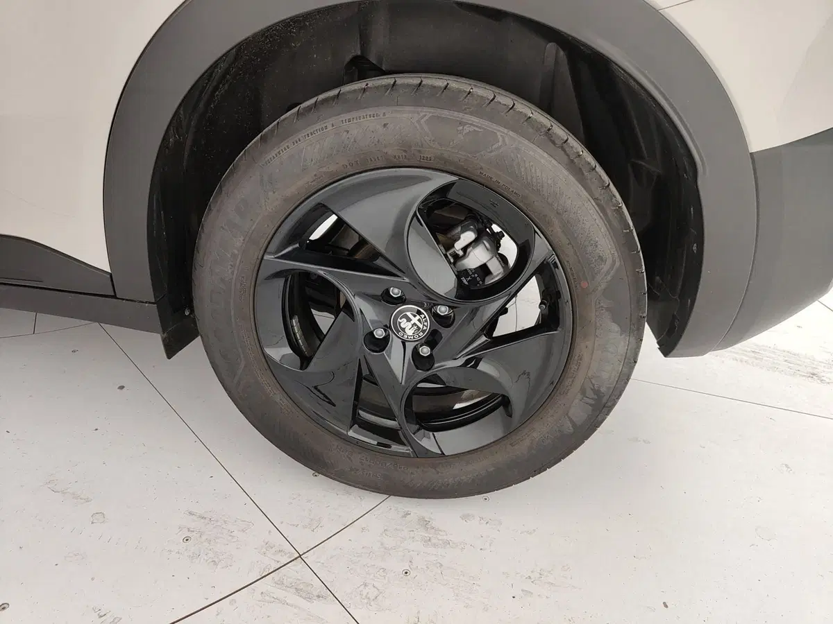 Alfa Romeo Junior usata a Caserta (10)