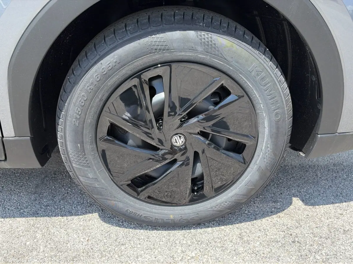Mg ZS nuova a Campobasso (13)