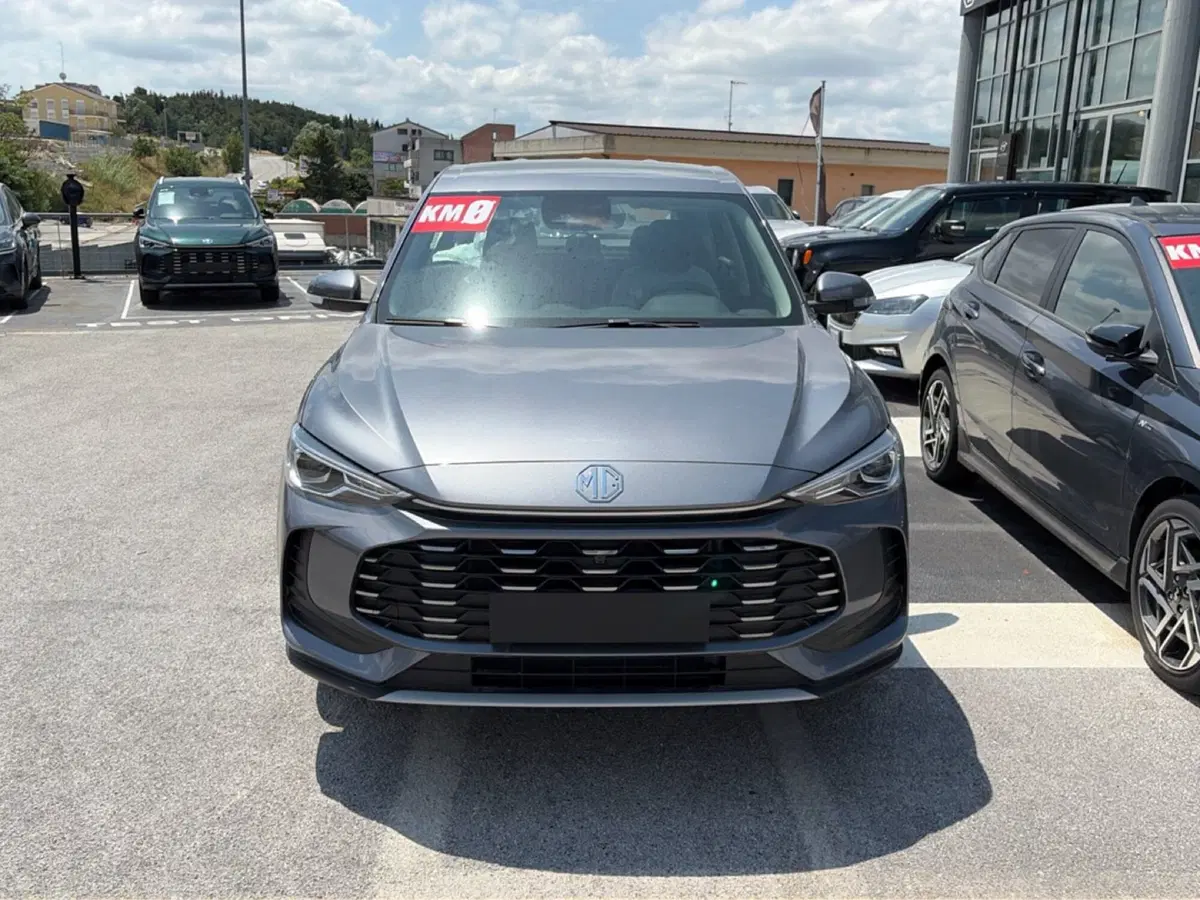 Mg ZS nuova a Campobasso (5)