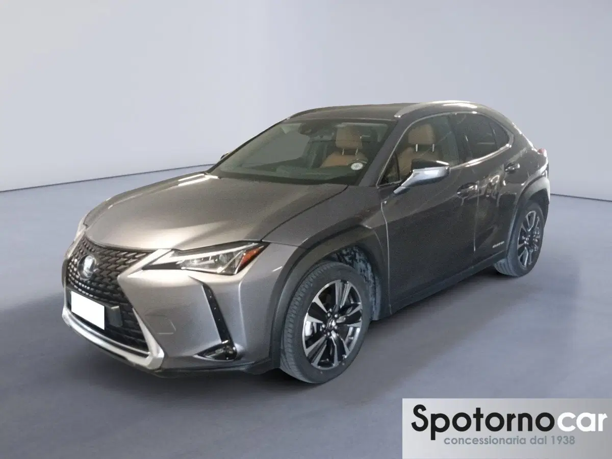 Lexus UX usata a Milano
