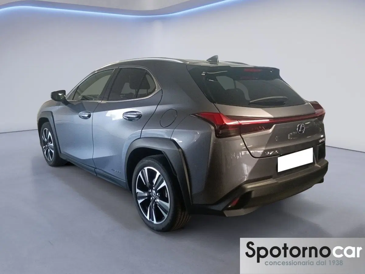 Lexus UX usata a Milano (2)