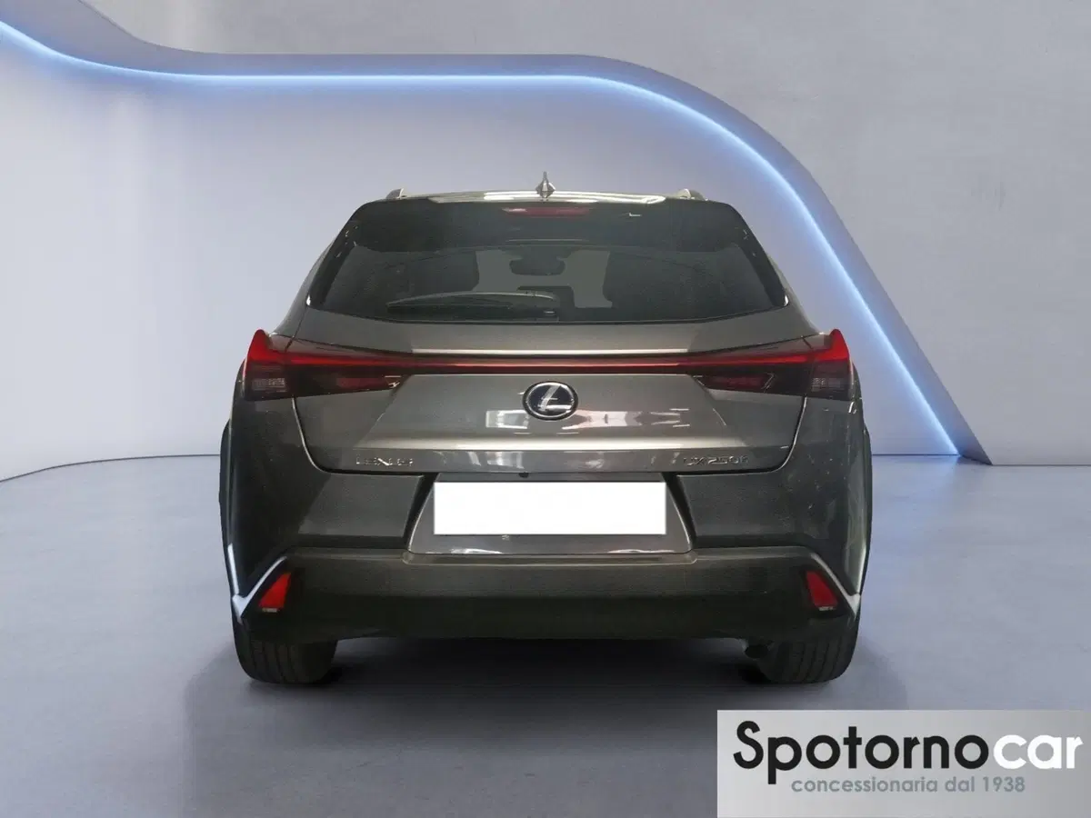Lexus UX usata a Milano (3)