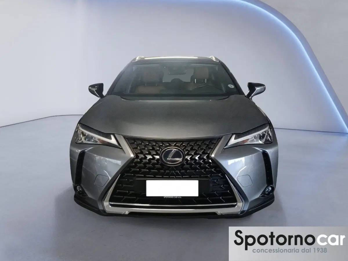 Lexus UX usata a Milano (7)