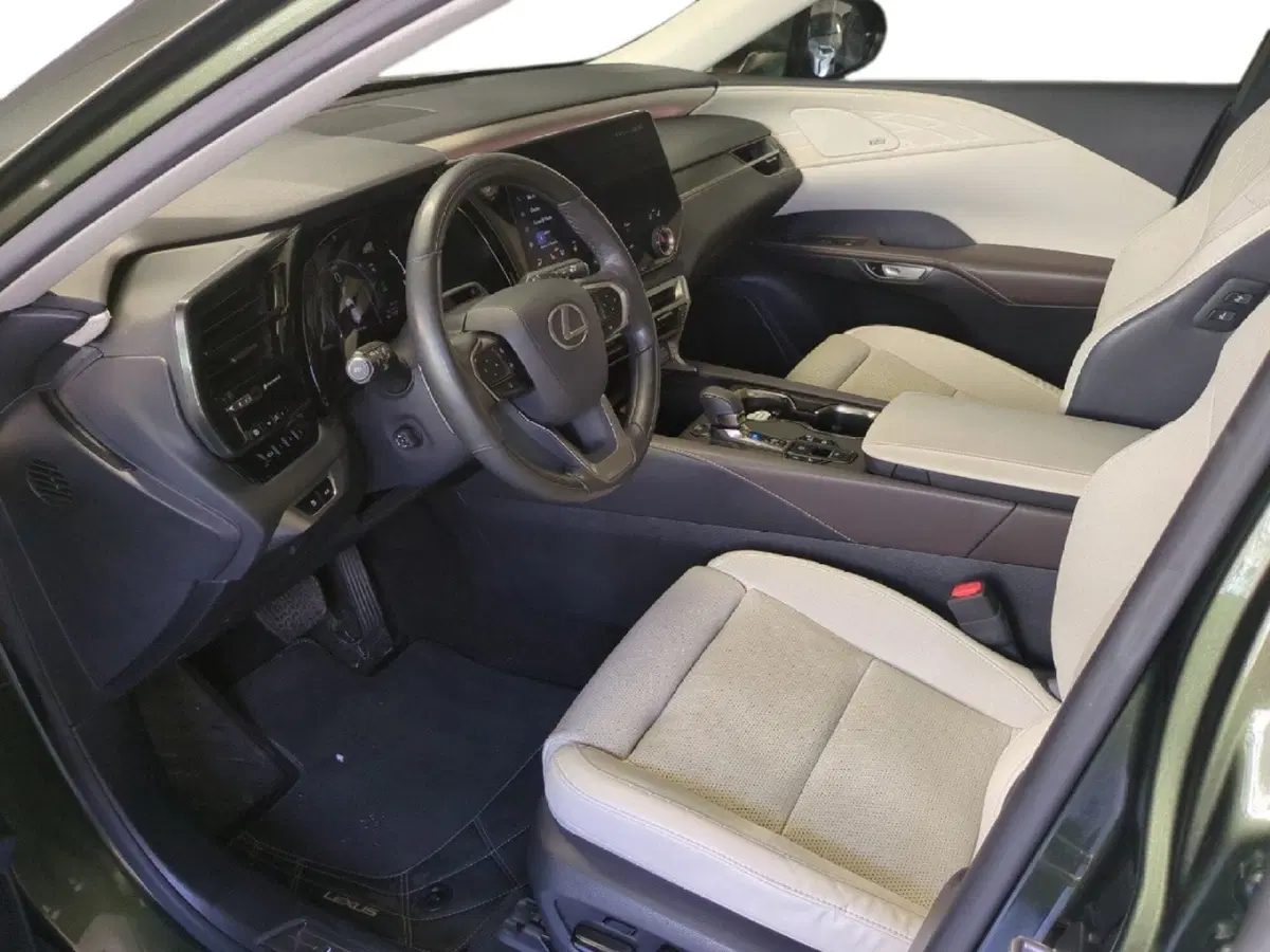 Lexus RX usata a Milano (11)