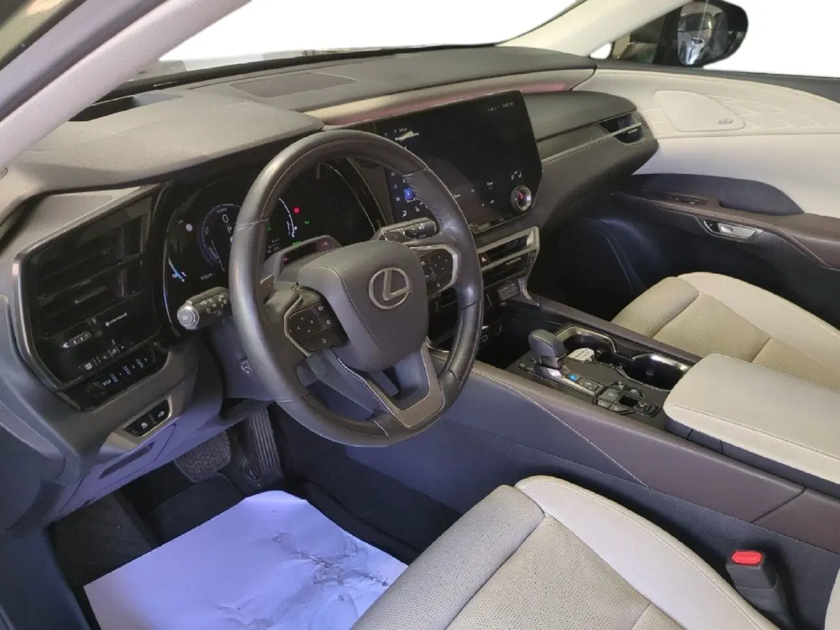 Lexus RX usata a Milano (12)