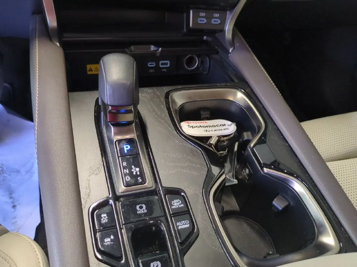 Lexus RX usata a Milano (16)