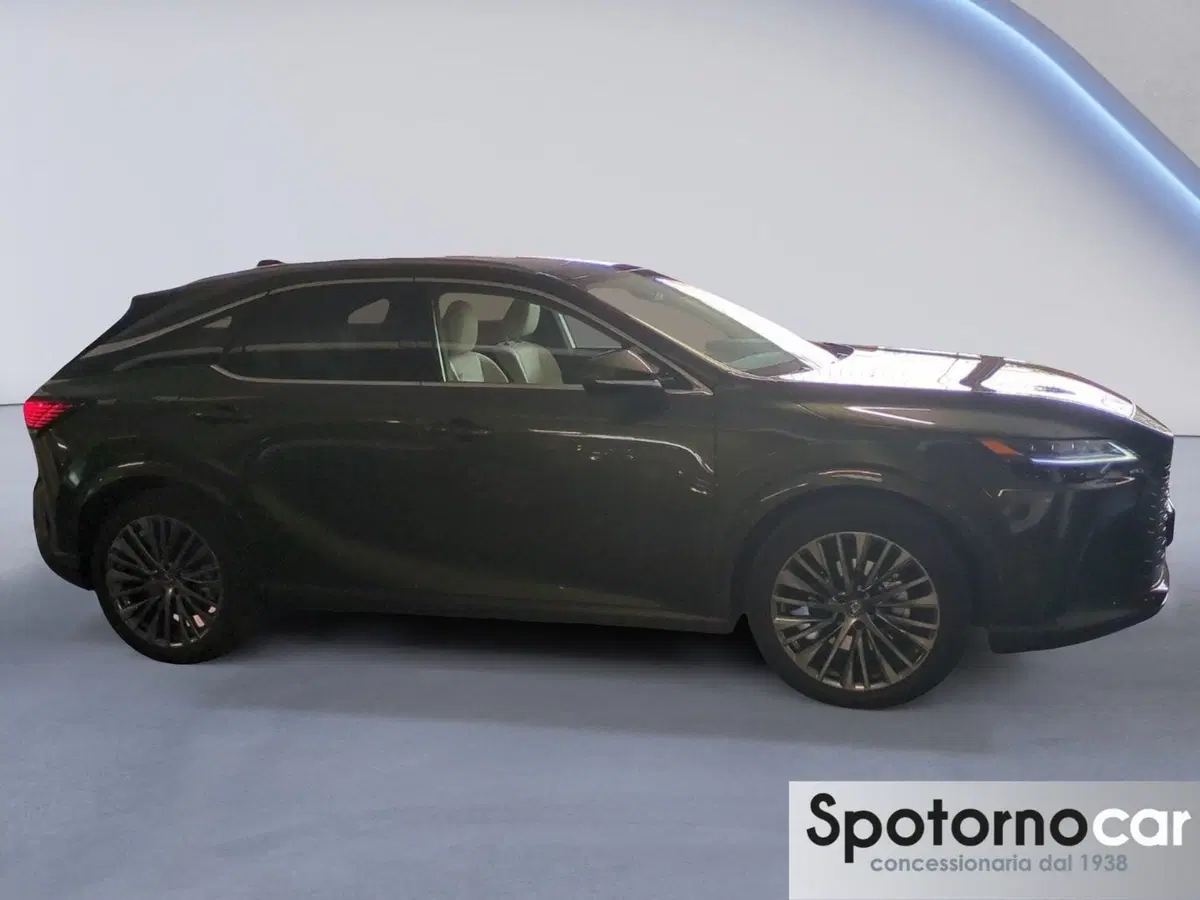Lexus RX usata a Milano (2)
