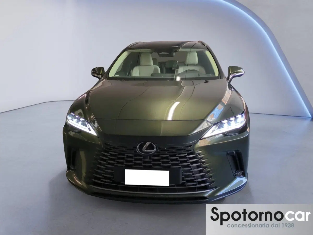 Lexus RX usata a Milano (5)