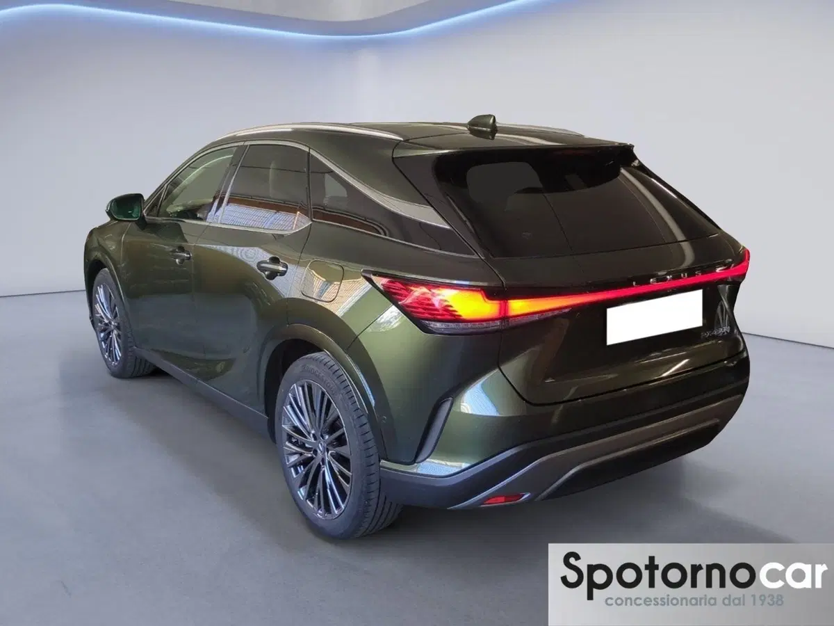 Lexus RX usata a Milano (6)