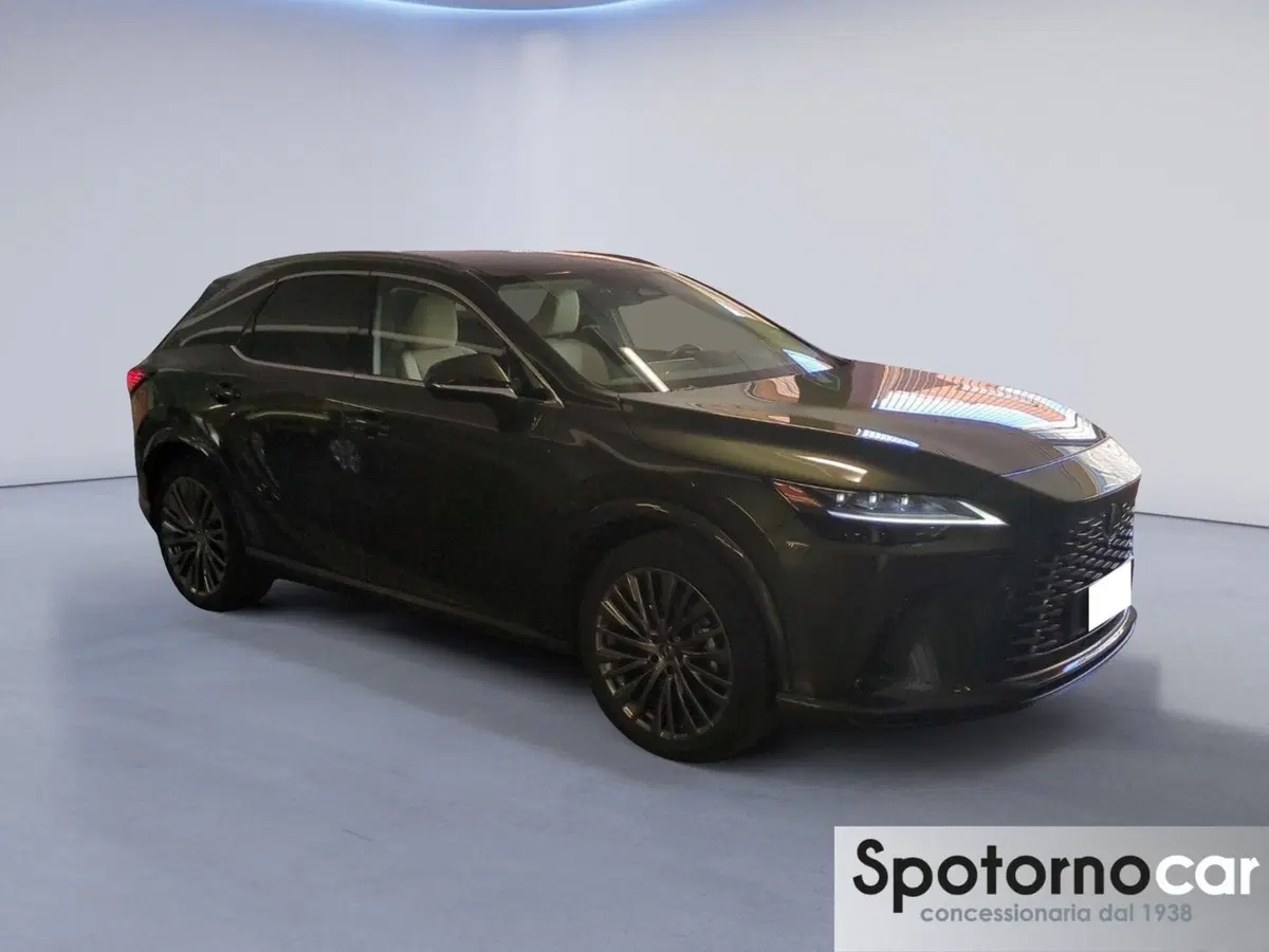 Lexus RX usata a Milano (7)