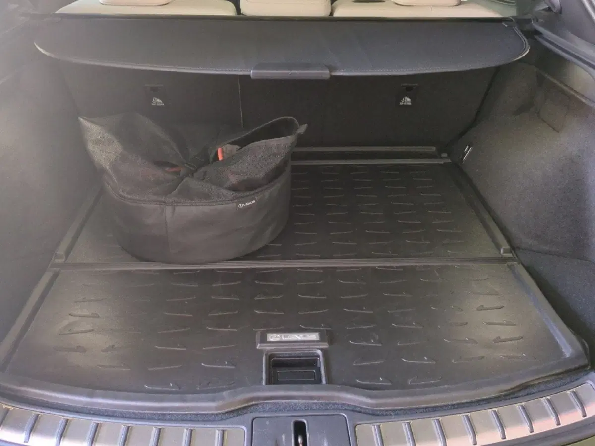 Lexus RX usata a Milano (9)
