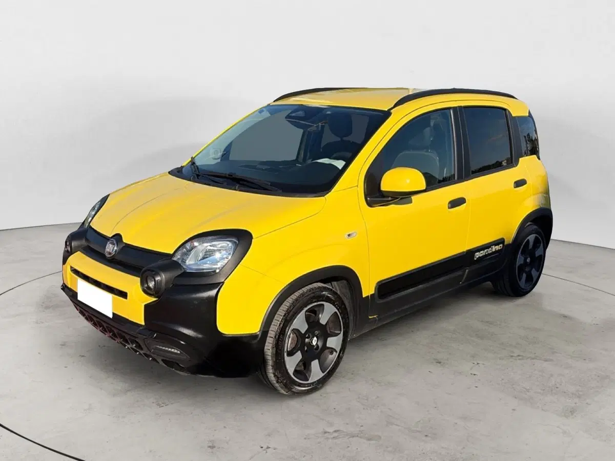 Fiat Panda Cross usata a Campobasso
