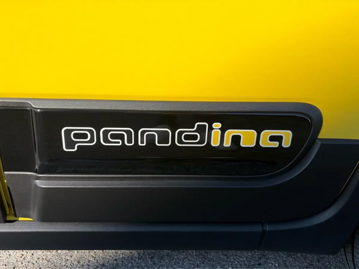Fiat Panda Cross usata a Campobasso (13)