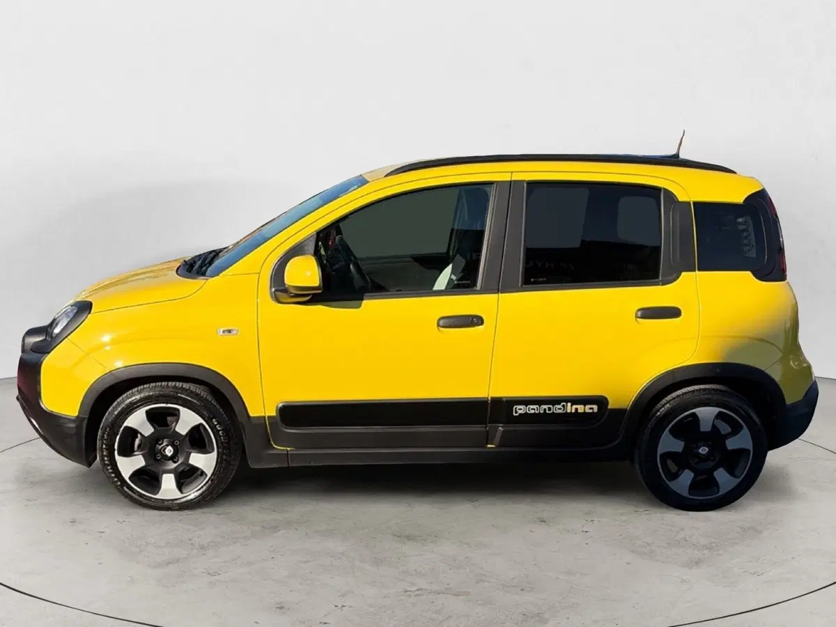 Fiat Panda Cross usata a Campobasso (2)