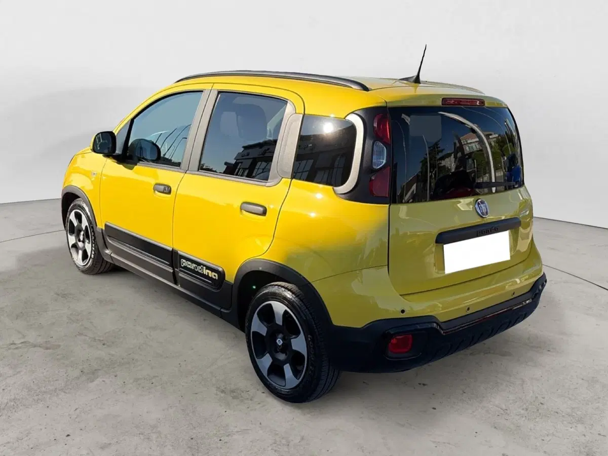 Fiat Panda Cross usata a Campobasso (3)
