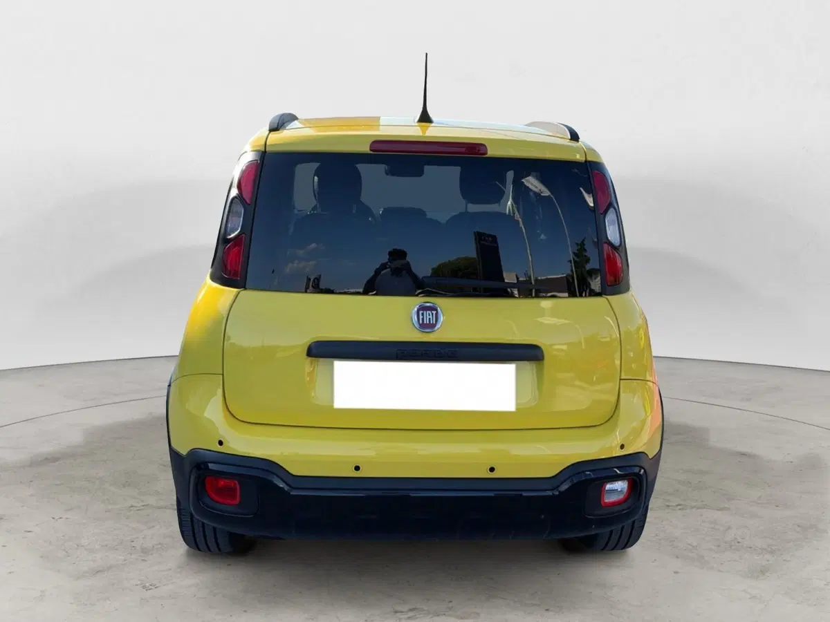 Fiat Panda Cross usata a Campobasso (4)